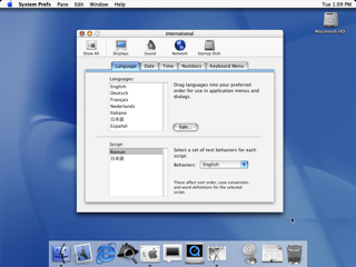 10-0-Cheetah-System-Preferences-International