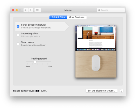 10-15-Catalina-Light-System-Preferences-Mouse
