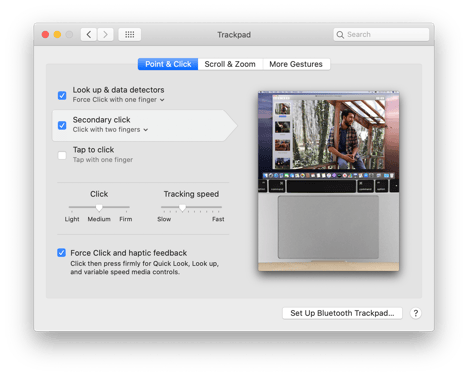 10-15-Catalina-Light-System-Preferences-Trackpad