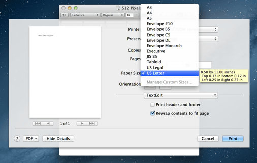 10-8-Mountain-Lion-Print