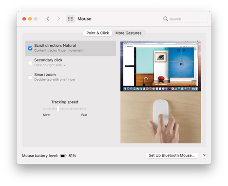 Big-Sur-Light-System-Preferences-Mouse