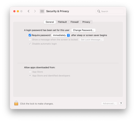 Big-Sur-Light-System-Preferences-Security-and-Privacy