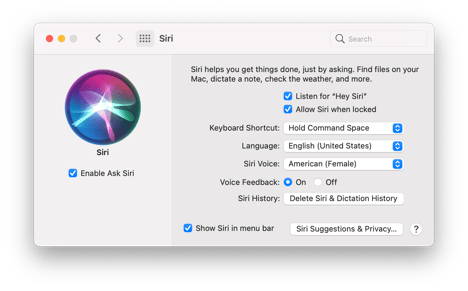 Big-Sur-Light-System-Preferences-Siri