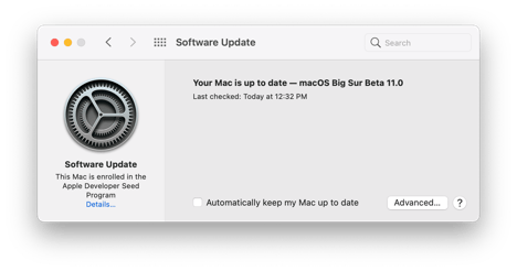Big-Sur-Light-System-Preferences-Software-Update