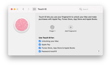 Big-Sur-Light-System-Preferences-Touch-ID