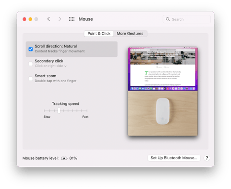 Monterey-Light-SysPrefs-28-Mouse