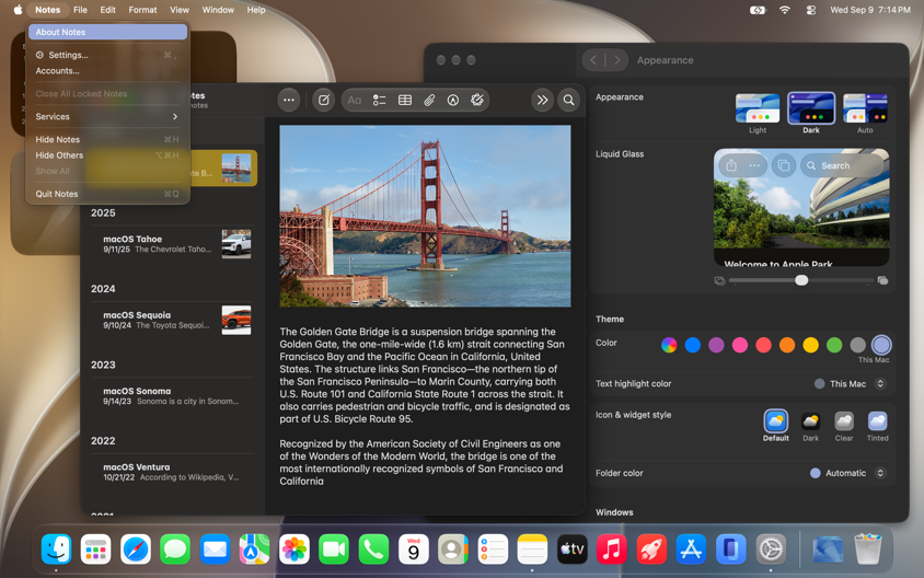 27-Golden-Gate-Apperance-Dark-This-Mac