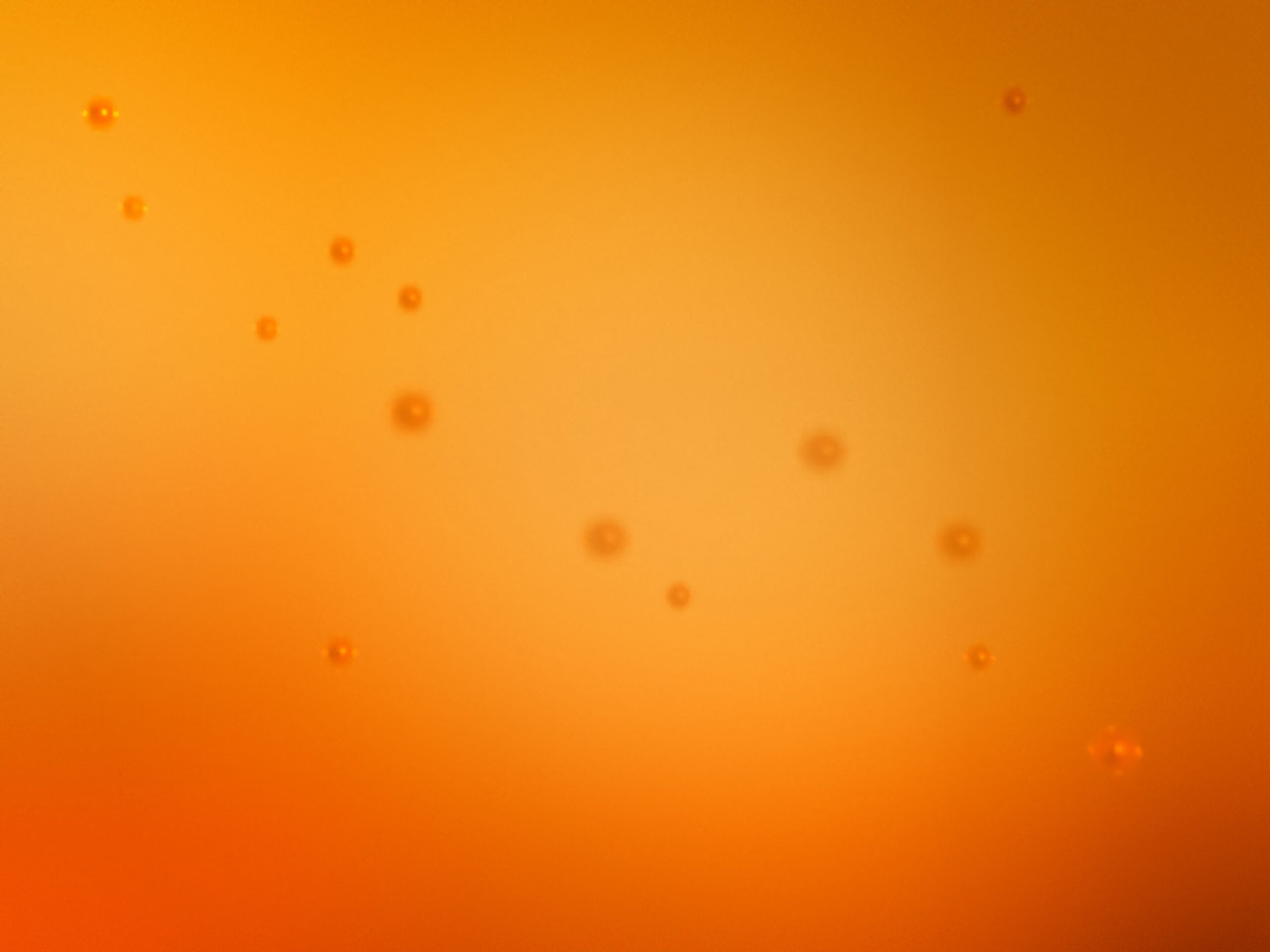 Tangerine Melt