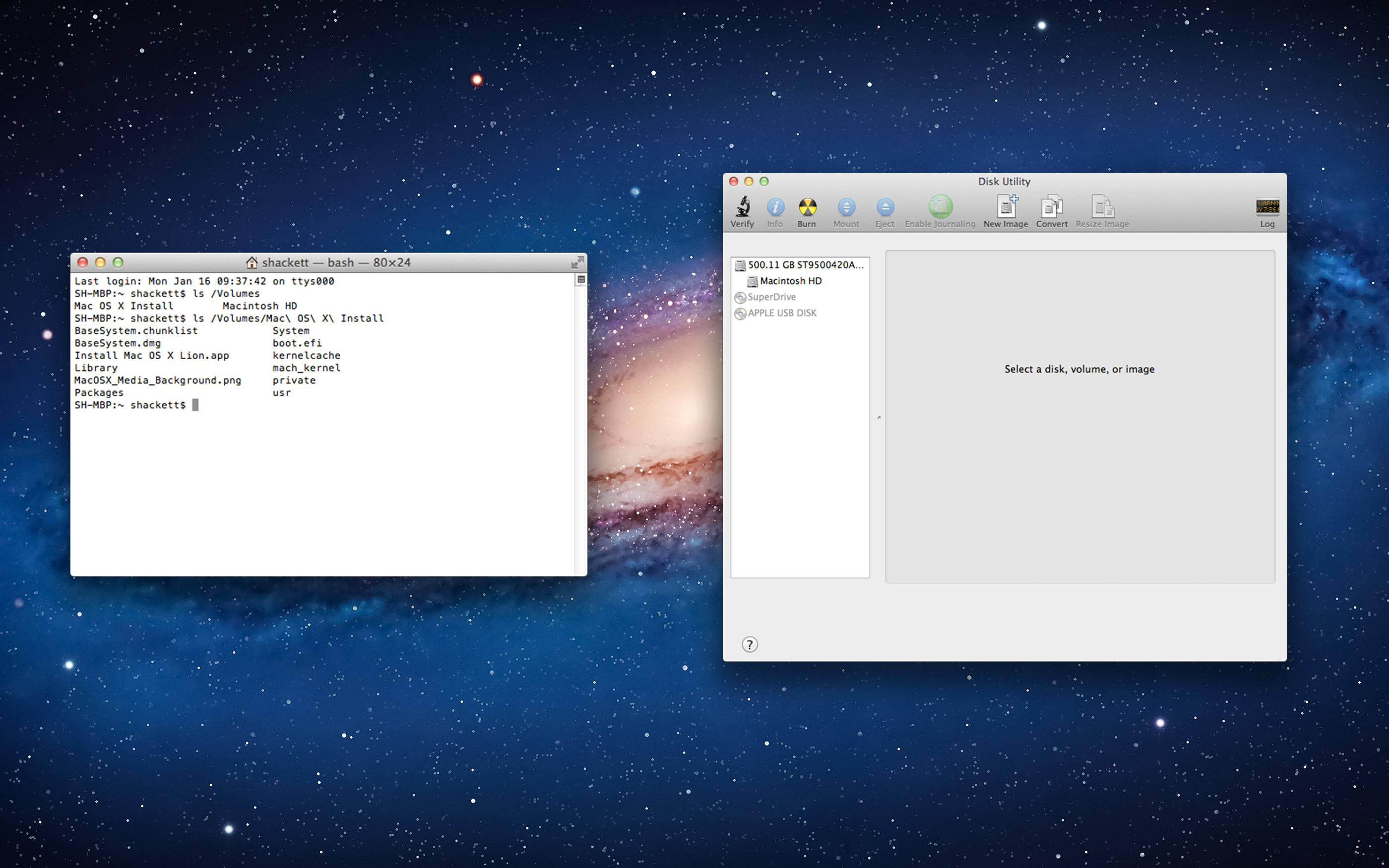 Lion Installer in Lion