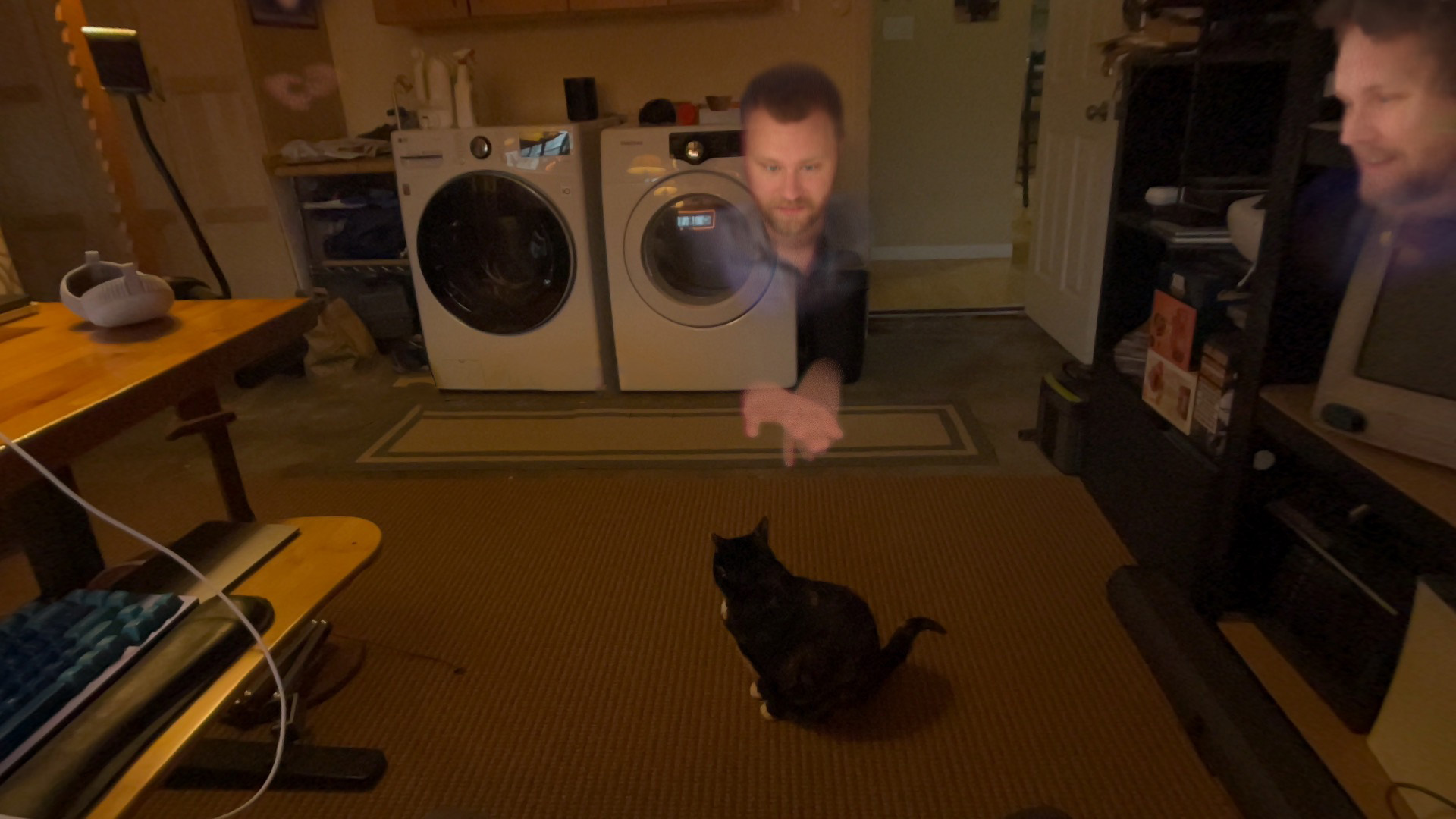 Spatial Cat