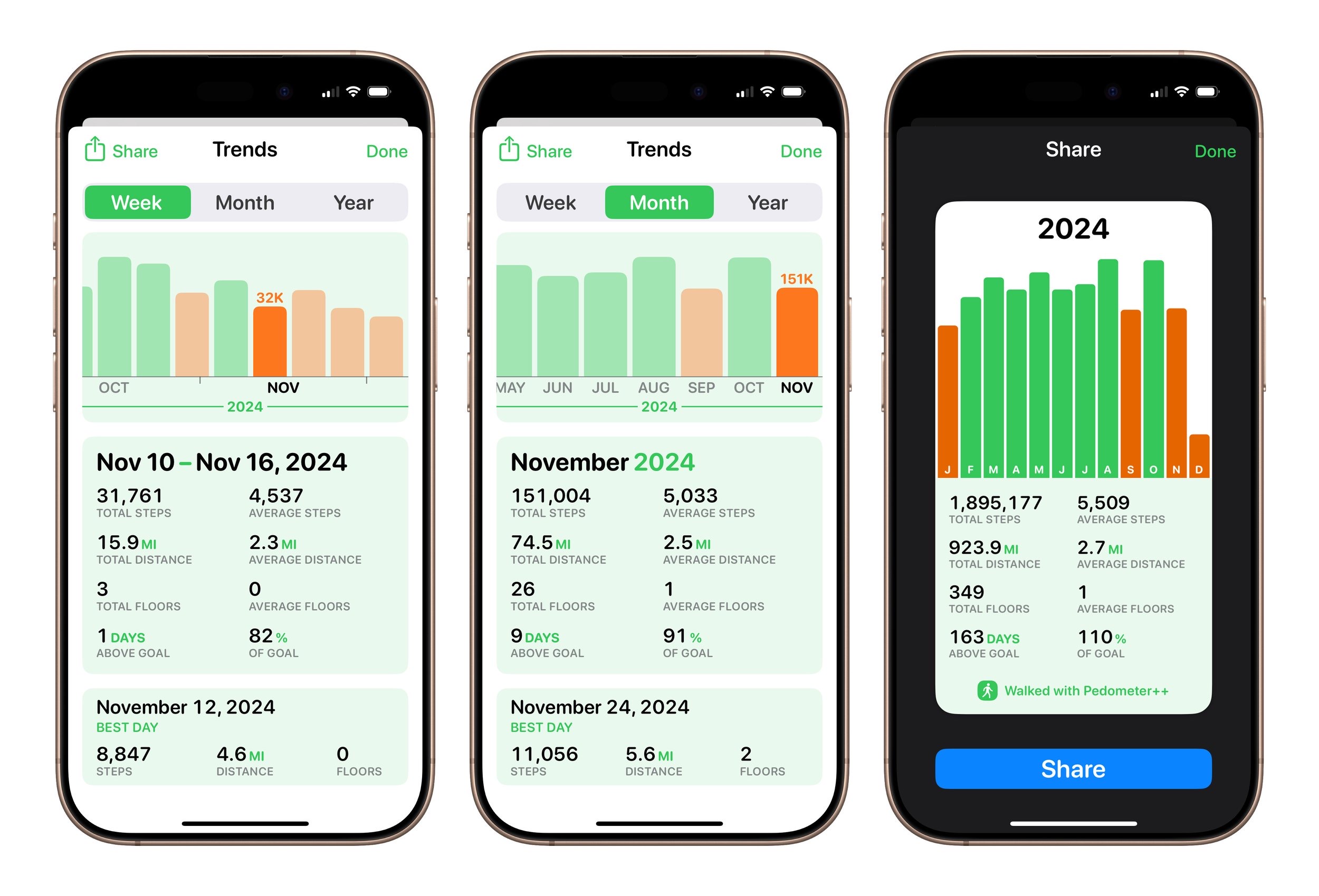 Pedometer 6.2