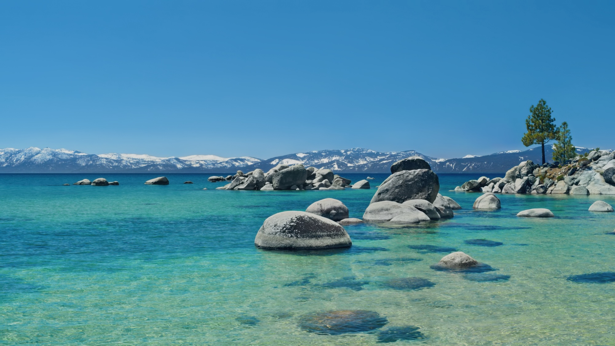 Tahoe Beach - Day