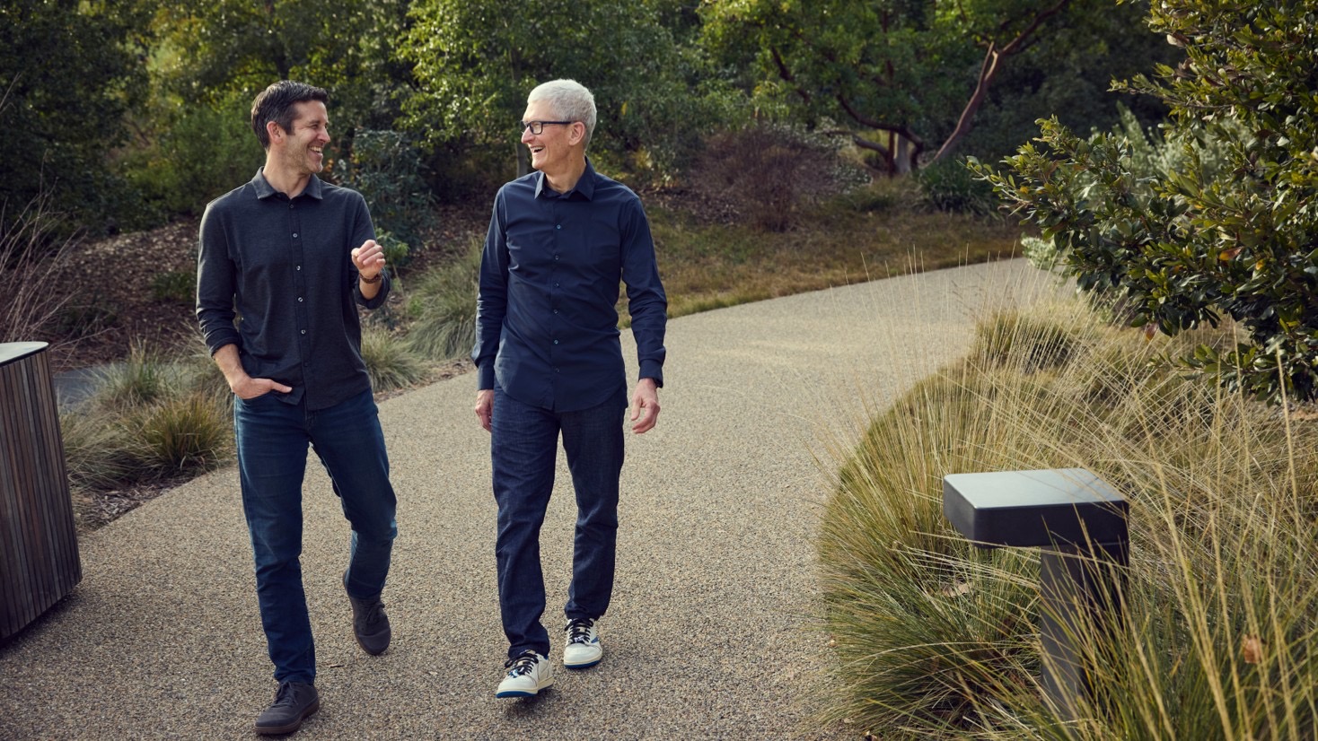 CEO Daddies